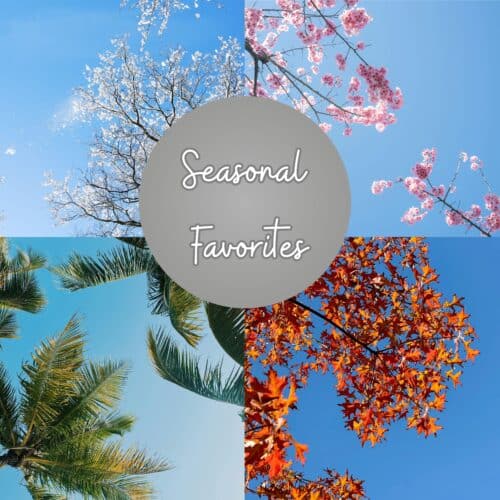 Seasonal Favorites